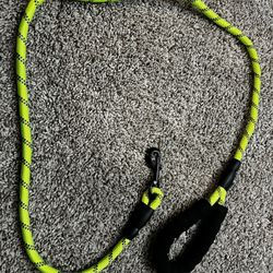 5ft Dog Leash with Comfortable Padded Handle and Highly Reflective Threads Green
