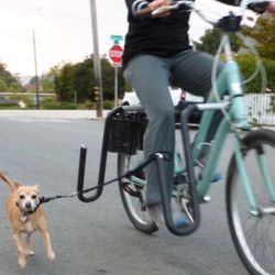 Moved By Bike Dog Lead $40