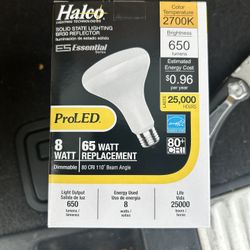 New LED BR30 Bulbs — 24 Pack — Dimmable — Warm White — Contractor Grade — $160