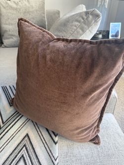 Free- Crate and Barrel 20” pillows NEW