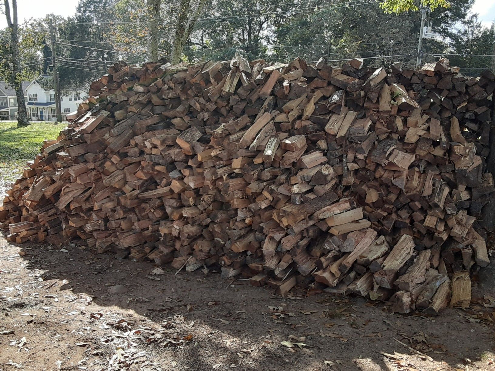 Fire wood ready for the winter