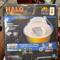 Canless Recessed Down light