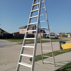12 Ft Ladder 