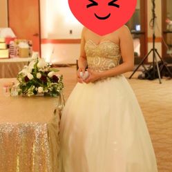 Dress & Petticoat 