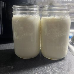 Organic Kefir