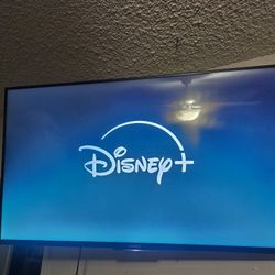 SONY BRAVIA 43 INCH   $ 120