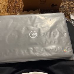 Dell Chrome 3100 Laptop