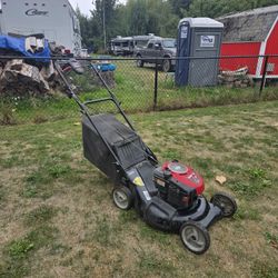 Self Lawnmower Mower 