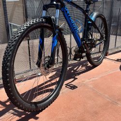 Mountain Bike Specialized