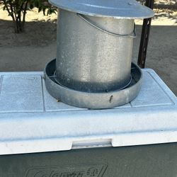 Metal chicken feeder