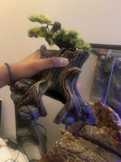 Reptile tank large