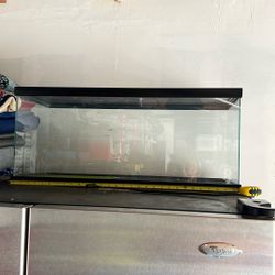 Terrarium With Screen Top