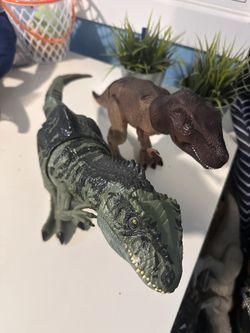 2 Dinosaurs