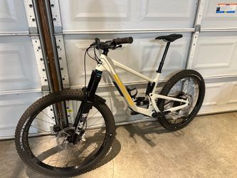 Santa Cruz Bronson