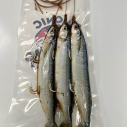 Finally A Great Saturday! So get out on the water. Need Bait? Come Buy & Save $$$