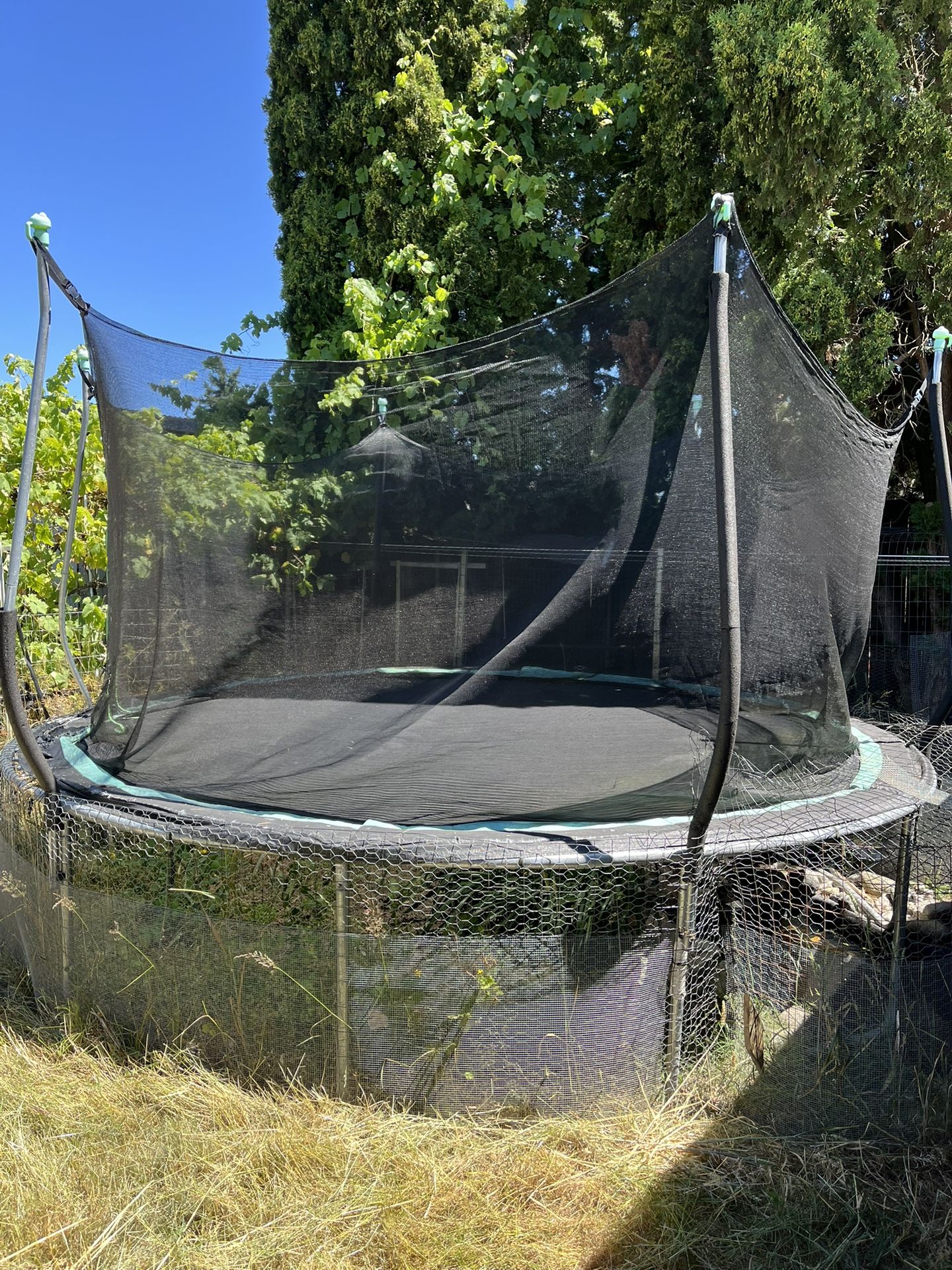 Jumper