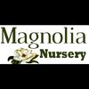 Magnolia Nursery