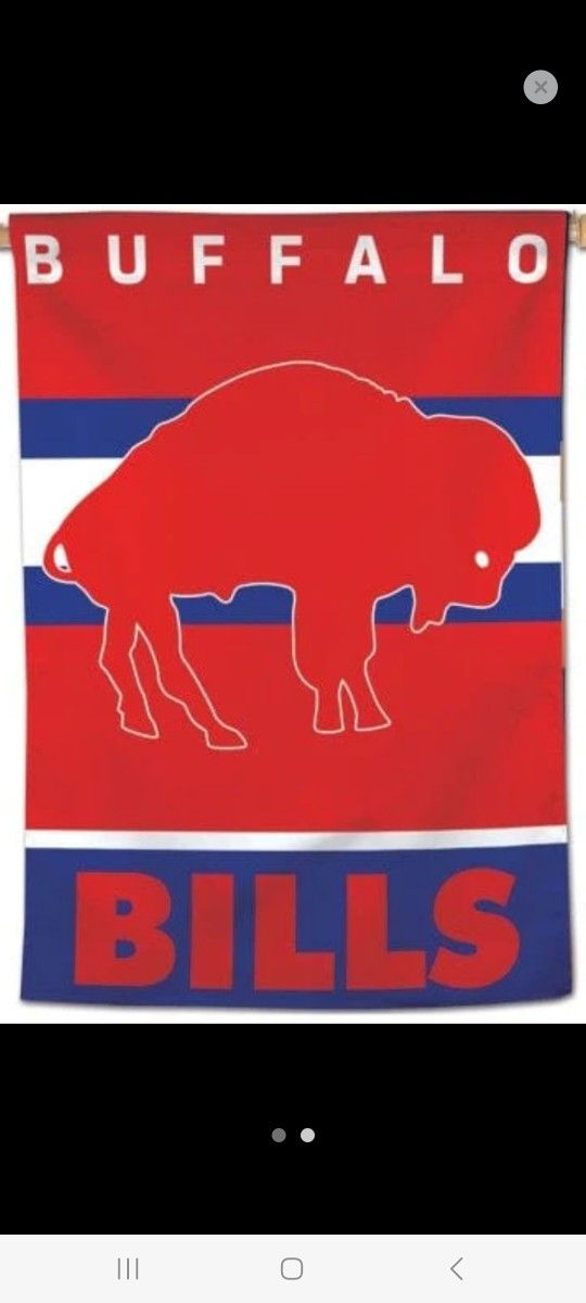 Buffalo Bills 28 By 40 Vertical Flag