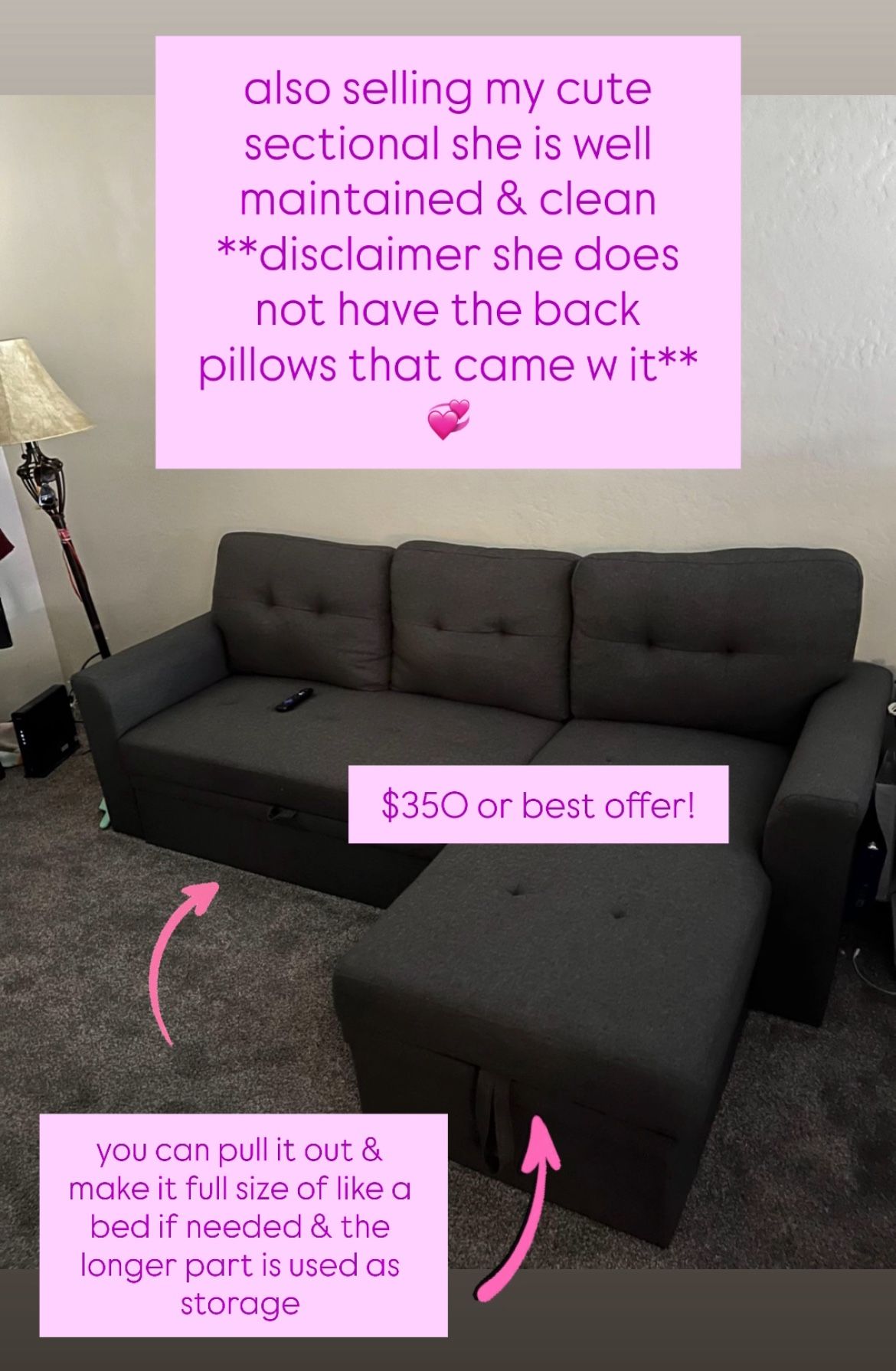 Grey Sectional Couch