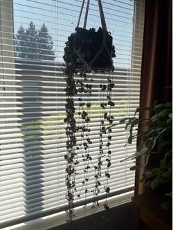 String of heart