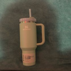 40 oz light green stanley 