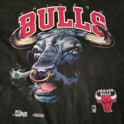 Vintage 90's Salem Sportswear Chicago Bulls Single Stitched T Shirt Size XL