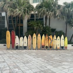 Surfboards for  Surf Bunnies at Catch A Wave Surf Shop 