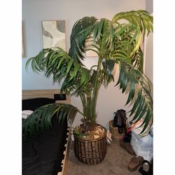 7 ft tree