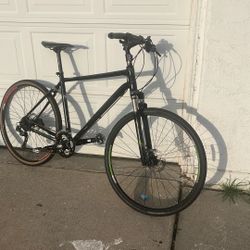 Trek Dual Sport 8.5 Bike 