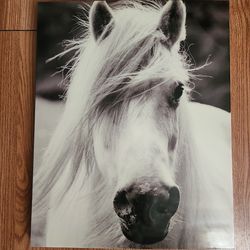 Wall Art Beautiful Horse Print