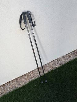 Leki Ski poles