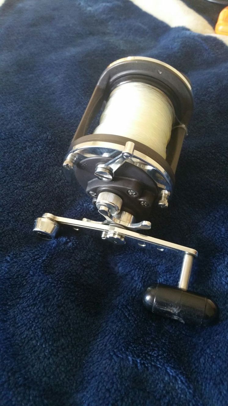Daiwa Magforce Sealine SMF 250 fishing reel