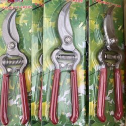 Pruning Shear