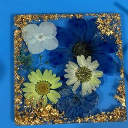 4 Coasters