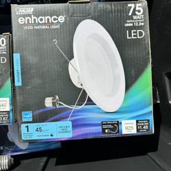 Feit Electric LED Recessed Lights