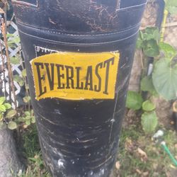 Everlast punching Bag