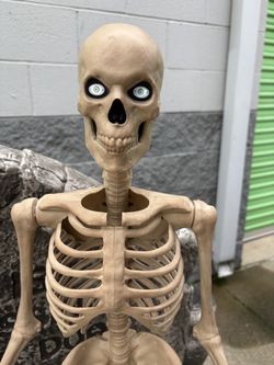 Halloween 2025 3.5’ Skeleton with LED Eyes