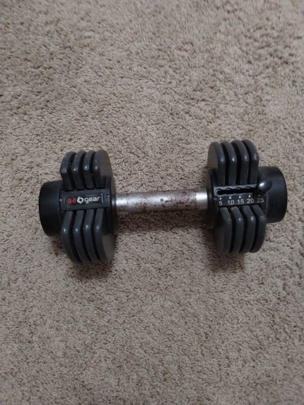 25 Pounds Dumbbell