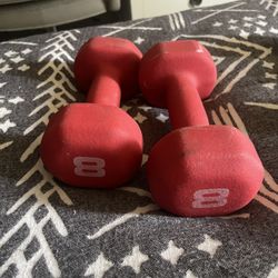 8LB Dumbbell Set