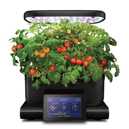 AeroGarden Harvest Touch, Black with Gourmet Herbs Seed Pod Kit