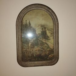 Deer Picture Moving Reduced Price