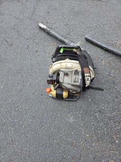 Echo backpack blower good for backup