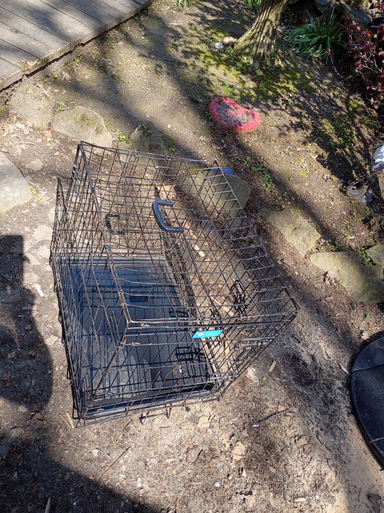 Dog Kennel