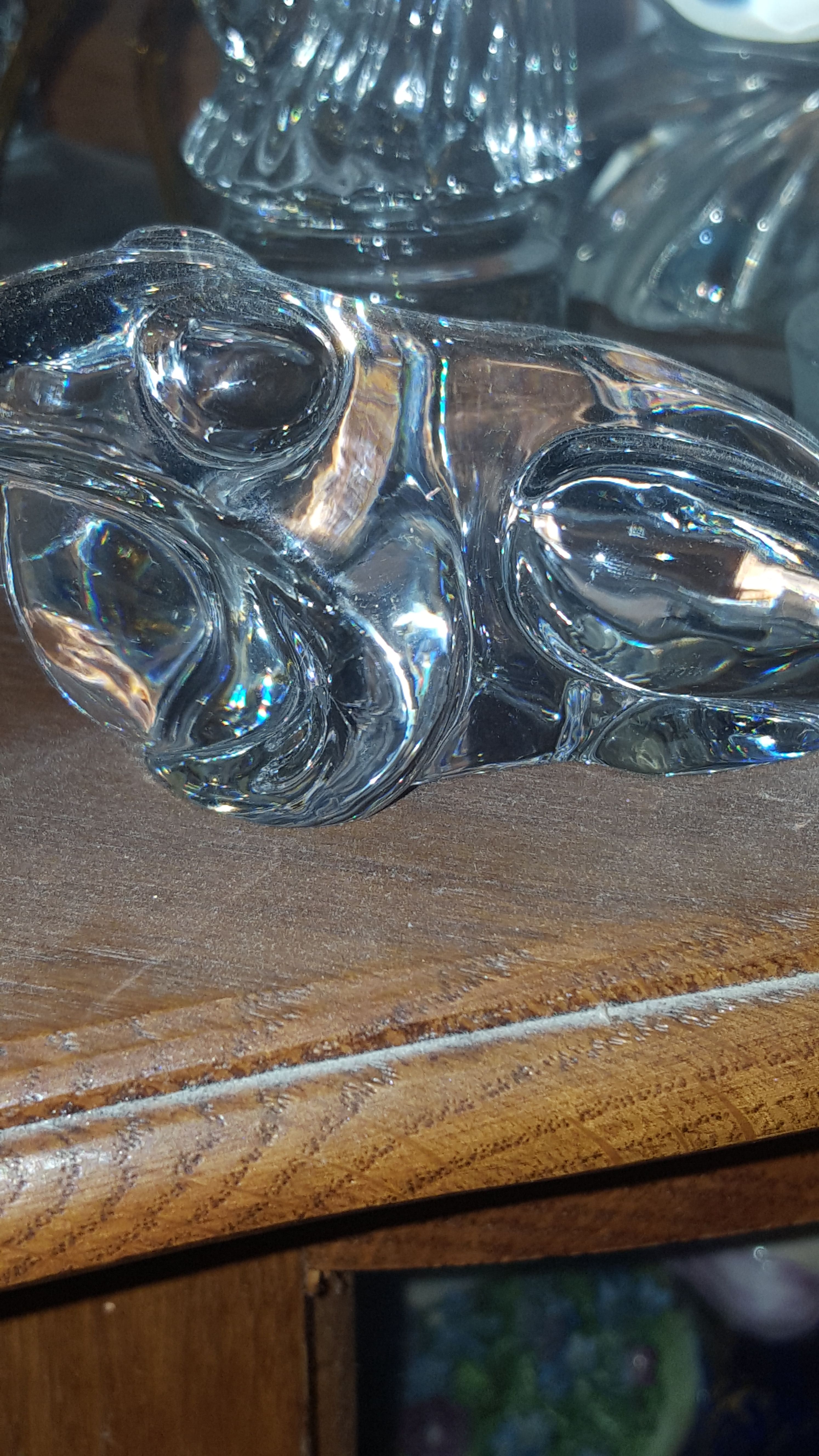 crystal frog