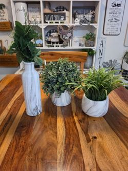 Artificial Plants