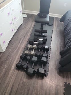 Home workout equipment  dumbbells and bench
