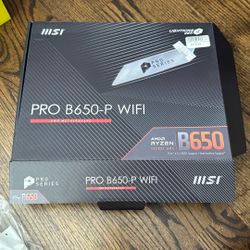 Pro B650-P WiFi 