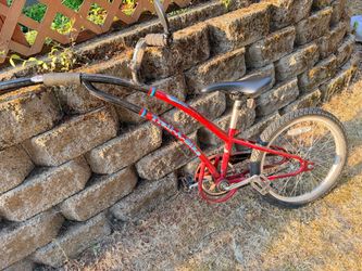 Trail-A-Bike