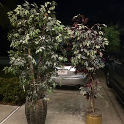 2 Artificial Plants