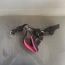 DOG HARNESS